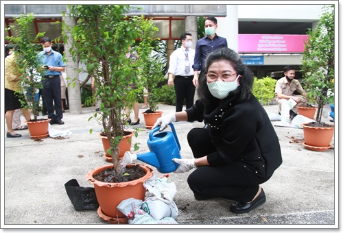 ﻿กรมบังคับคดี ร่วมปลูกต้นไม้ เนื่องในวันต้นไม้ประจำปีของชาติ